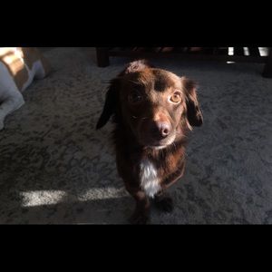 Meet your Posher, Sarryn